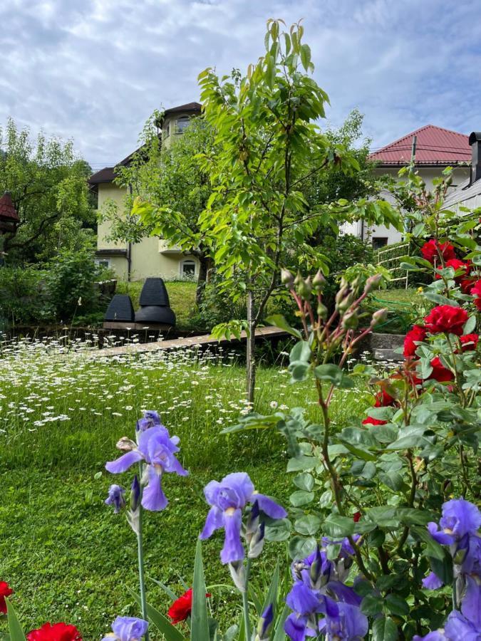 Riverside Villa Avo - Apartment Martin Spodnja Idrija المظهر الخارجي الصورة